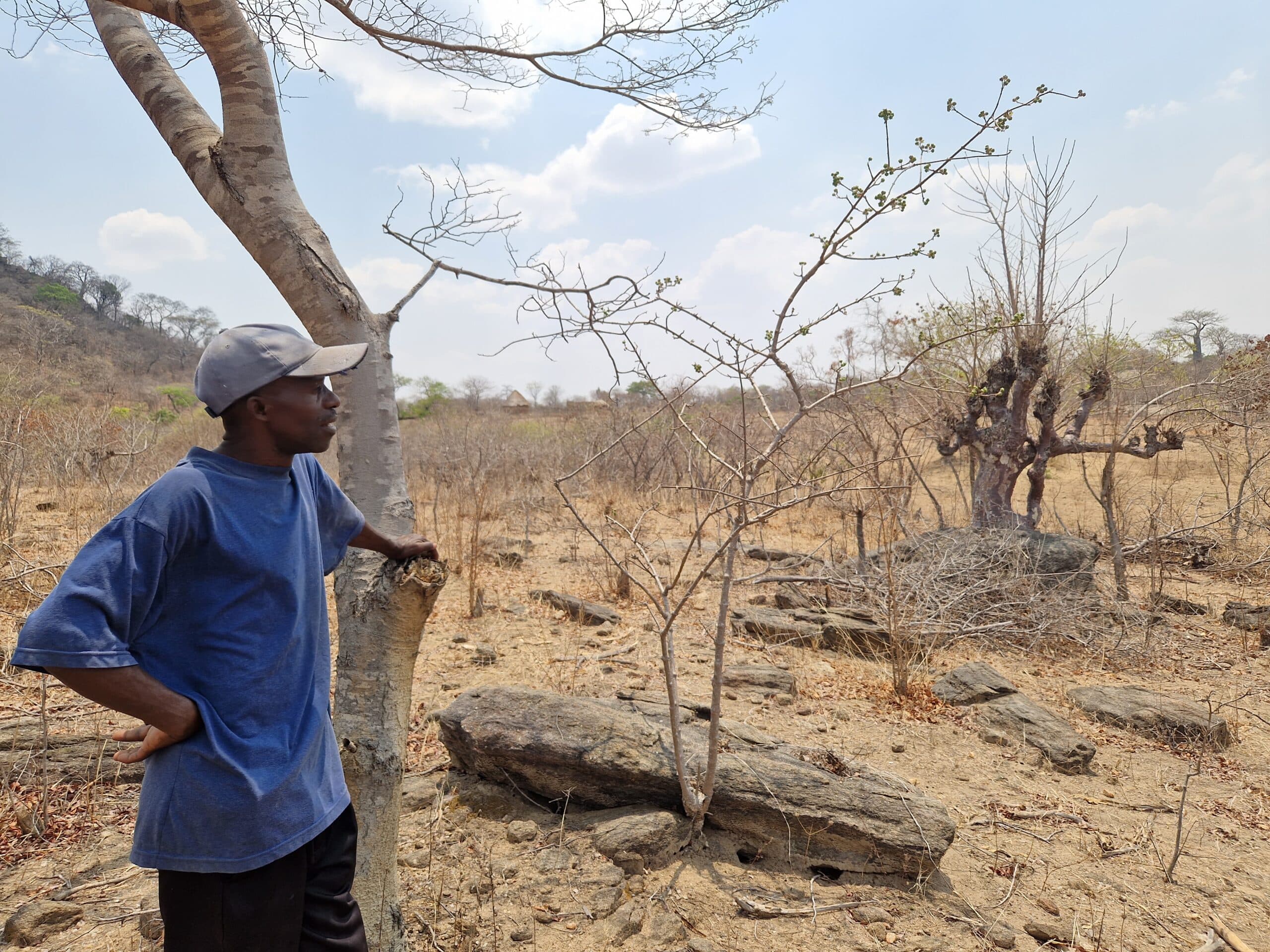 Interviewing farmer Aaron in Zimbabwe