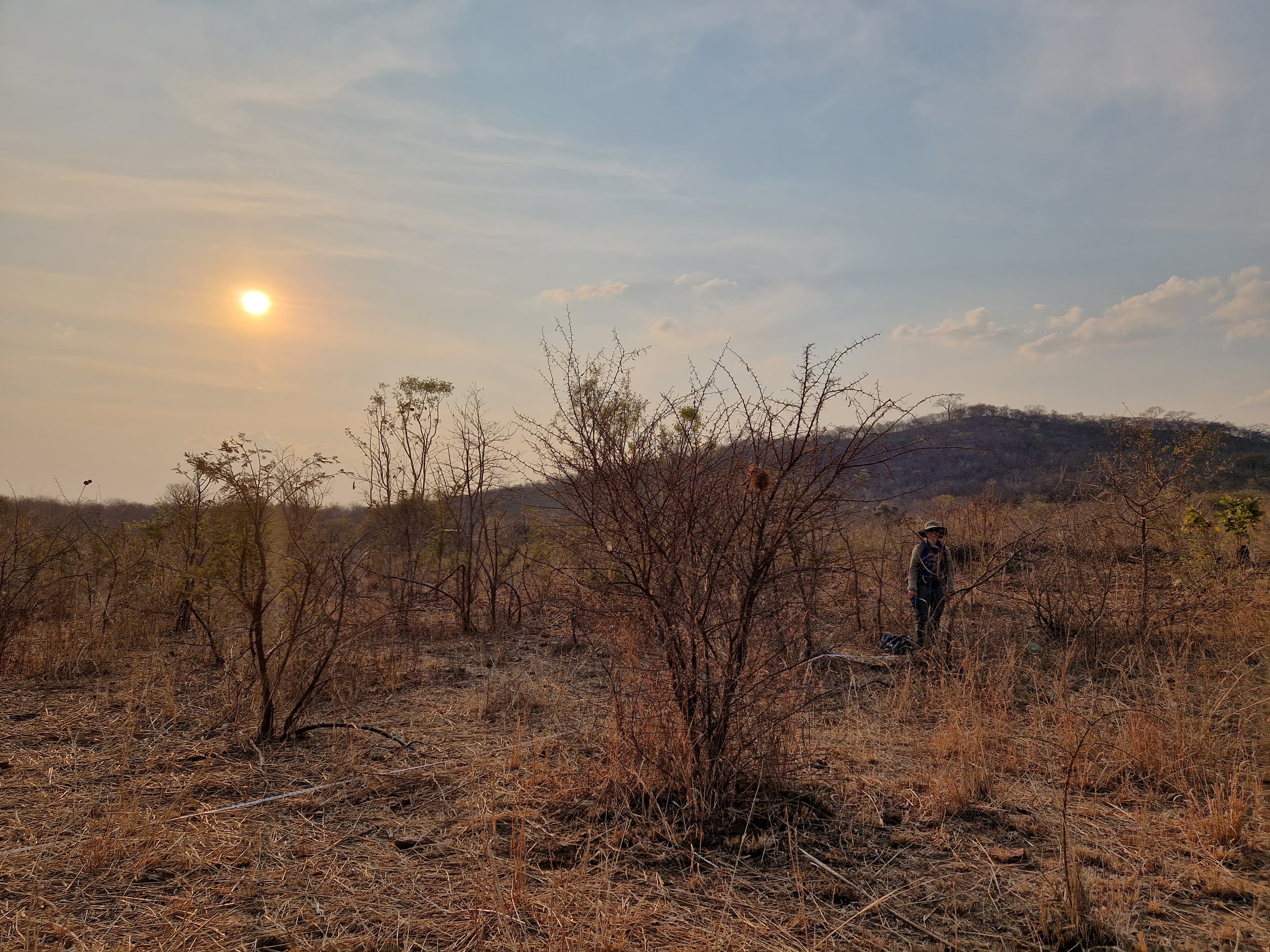 Soil and landscape restoration site