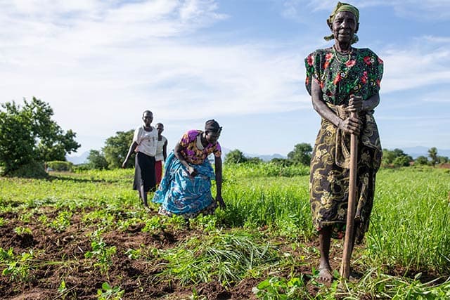 Regenerative Agriculture